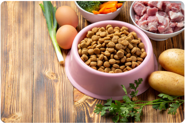 Essential Elements for a Healthy Pet Daily Life