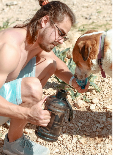 The Importance of a Dog Water Bottle
