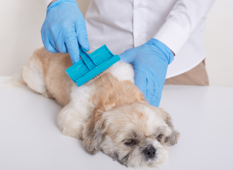 Dematting Comb for Dog: Remove Mats Easily