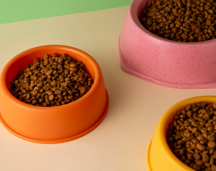Dog Feeding Mats: Keep Mealtime Clean & Organized