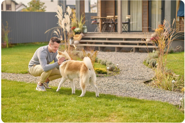 The Ultimate Guide to Choosing an Outdoor Dog House