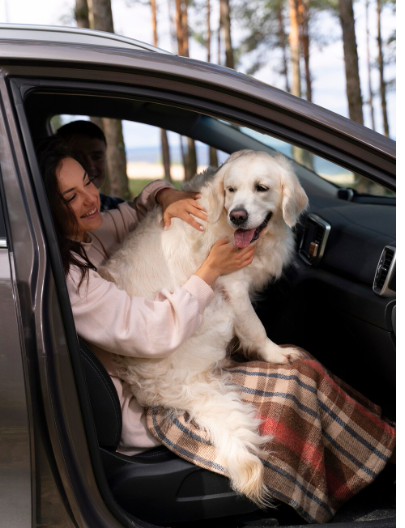 Dog Seat Belt for Safe and Comfortable Car Travel